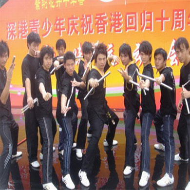 正統(tǒng)雙節(jié)棍